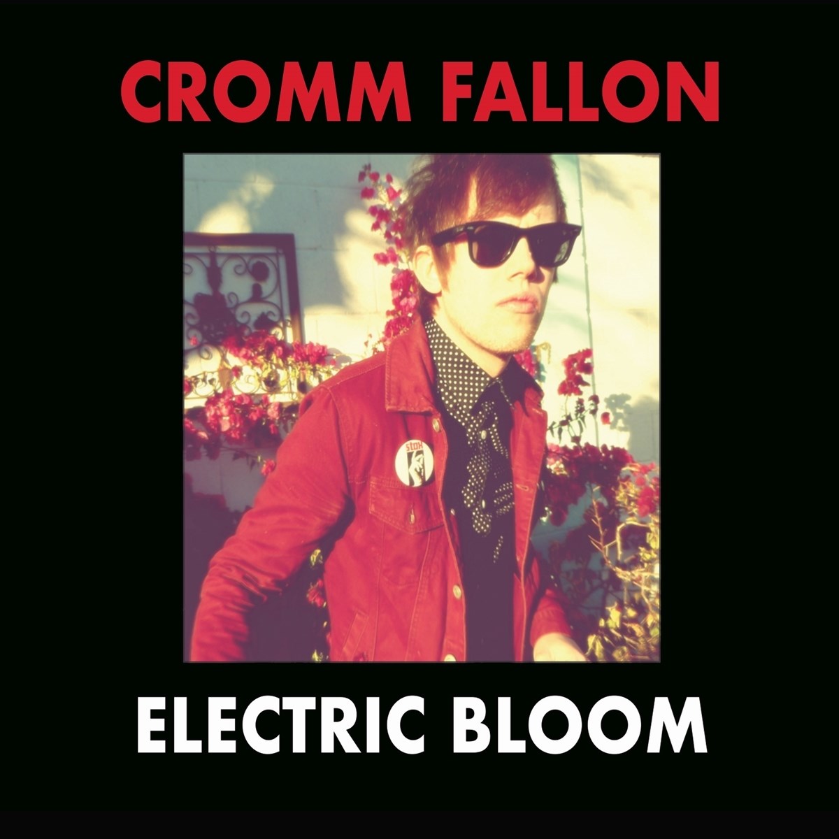 Afbeelding van Cromm Fallon - Electric Bloom
