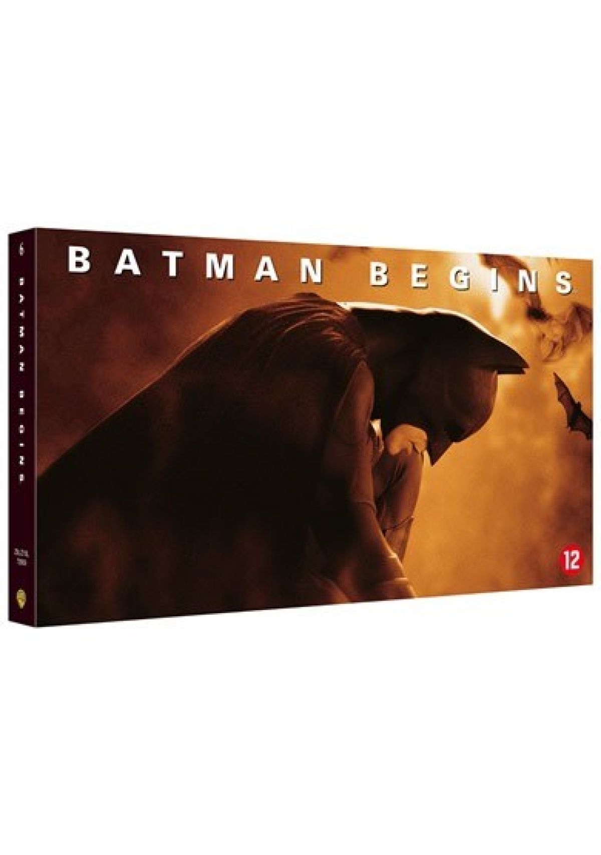 Afbeelding van Batman begins