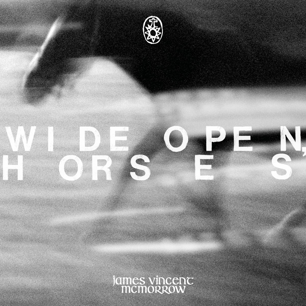 Afbeelding van James Vincent McMorrow - Wide Open, Horses
