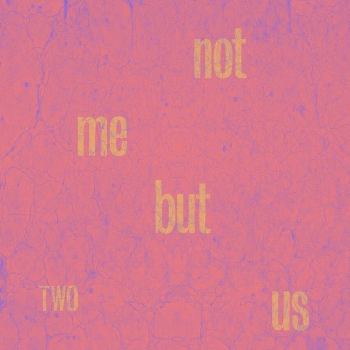 Afbeelding van Not Me But Us - Two