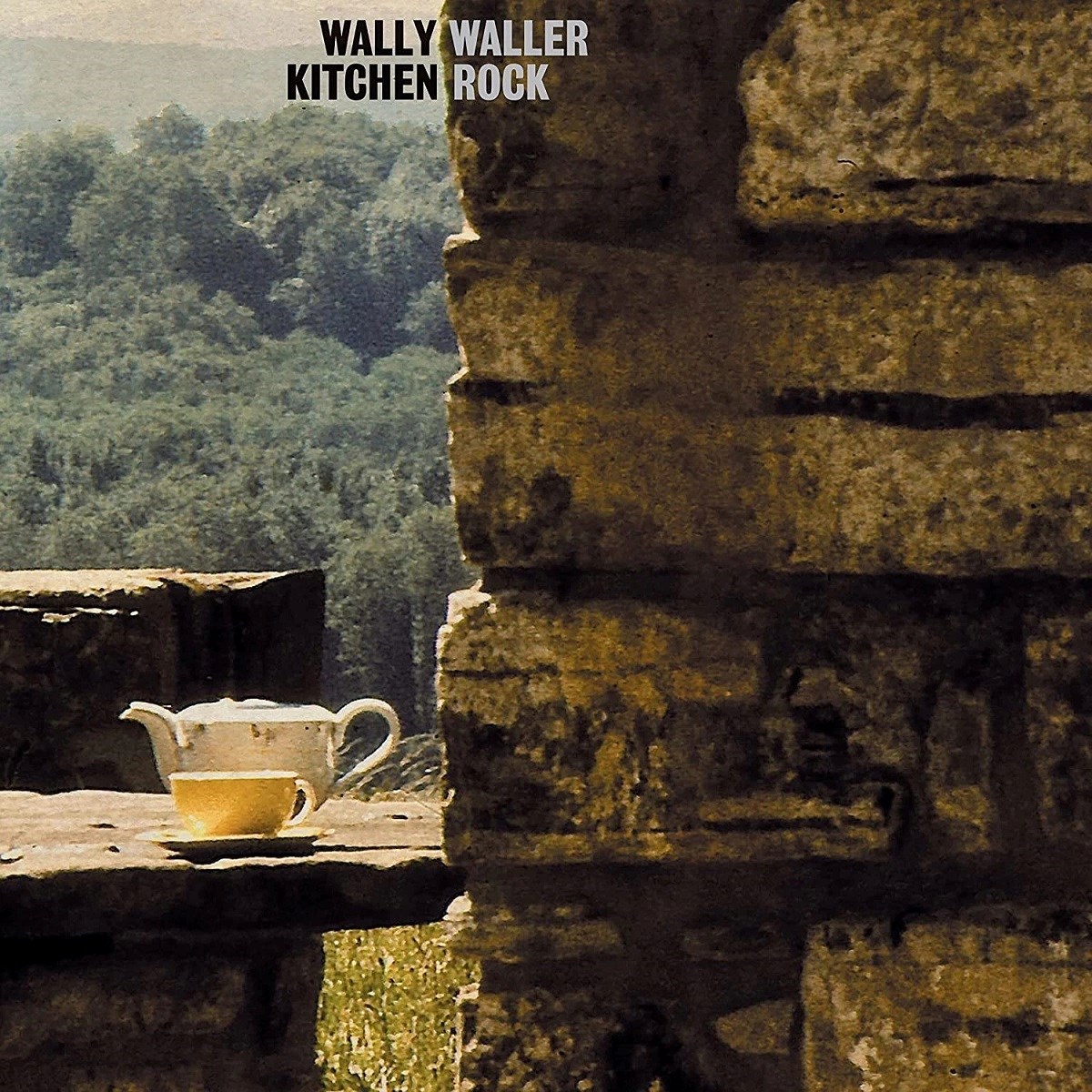 Afbeelding van Wally Waller - Kitchen Rock