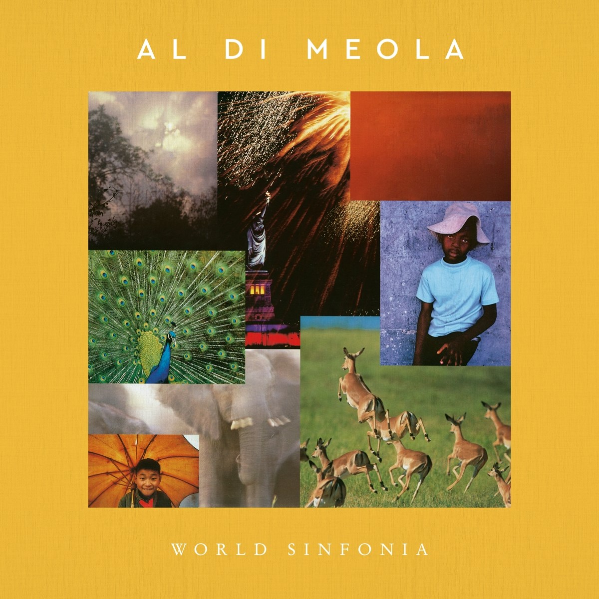 Afbeelding van Al Di Meola - World Sinfonia