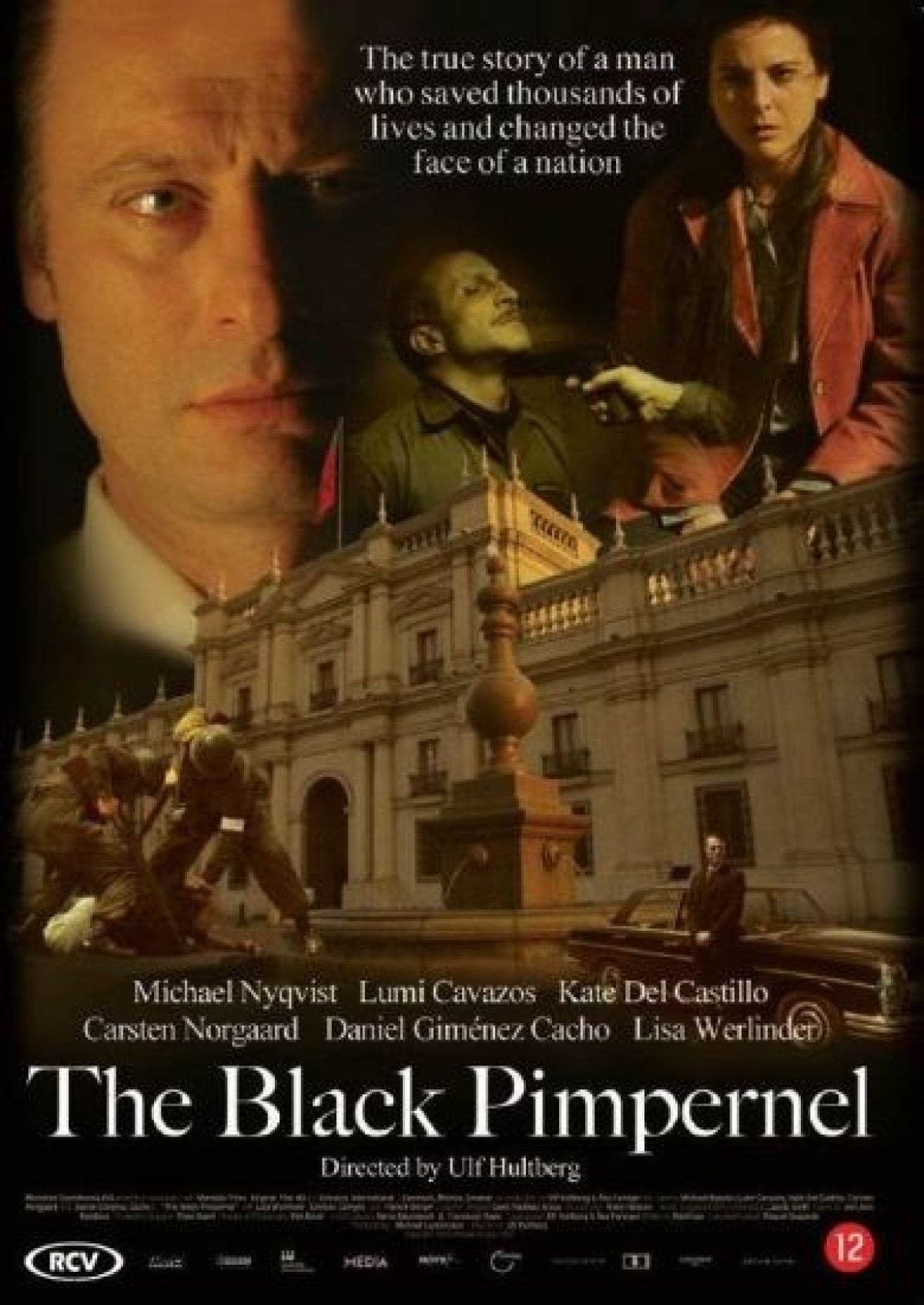 Black pimpernel