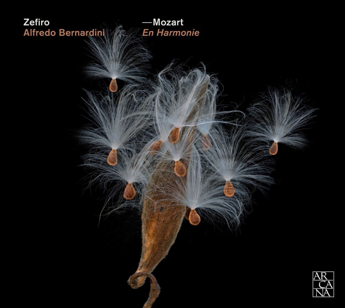 Afbeelding van Zefiro, Alfredo Bernardini - Mozart: En Harmonie