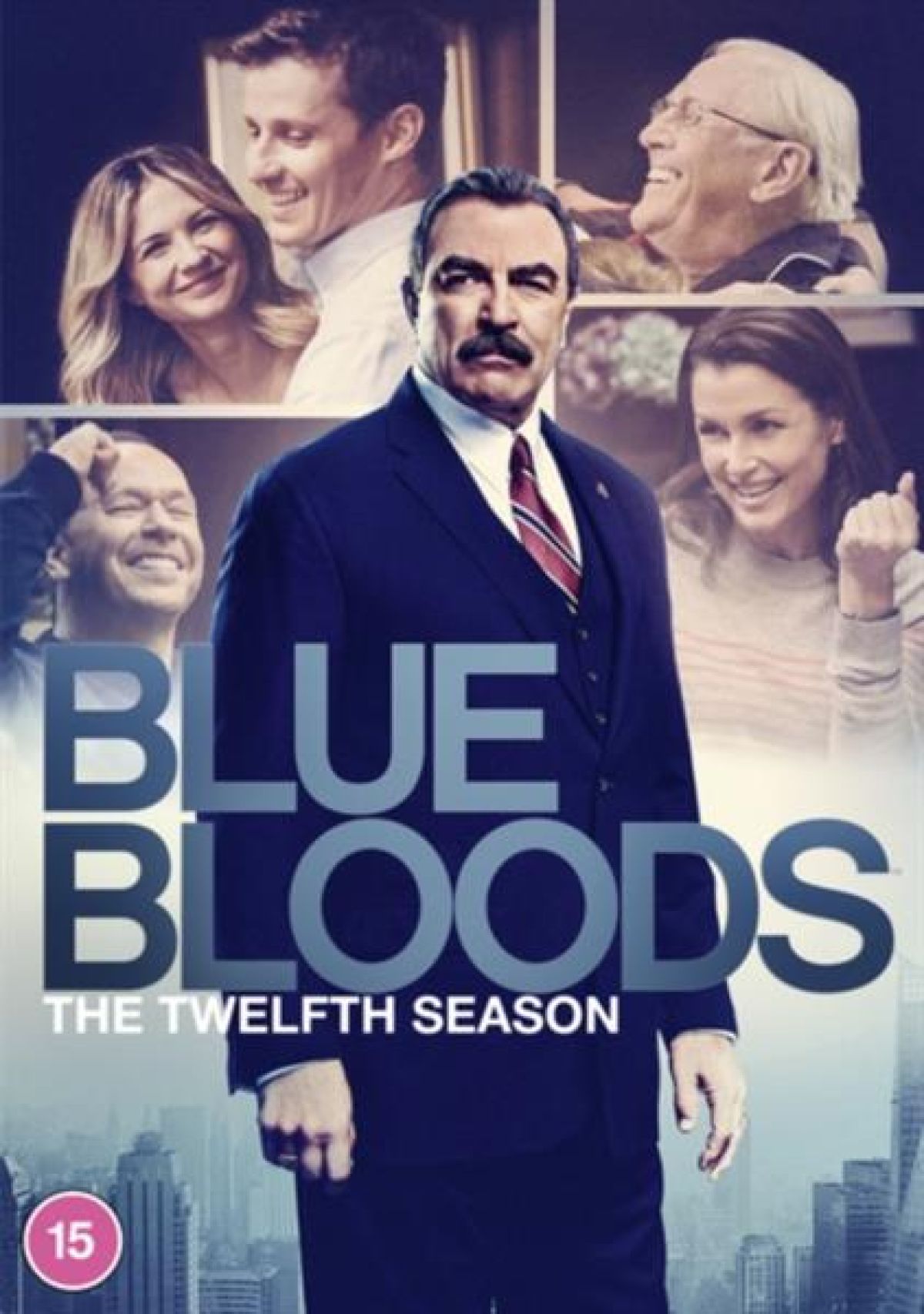 Afbeelding van Blue Bloods Season 12