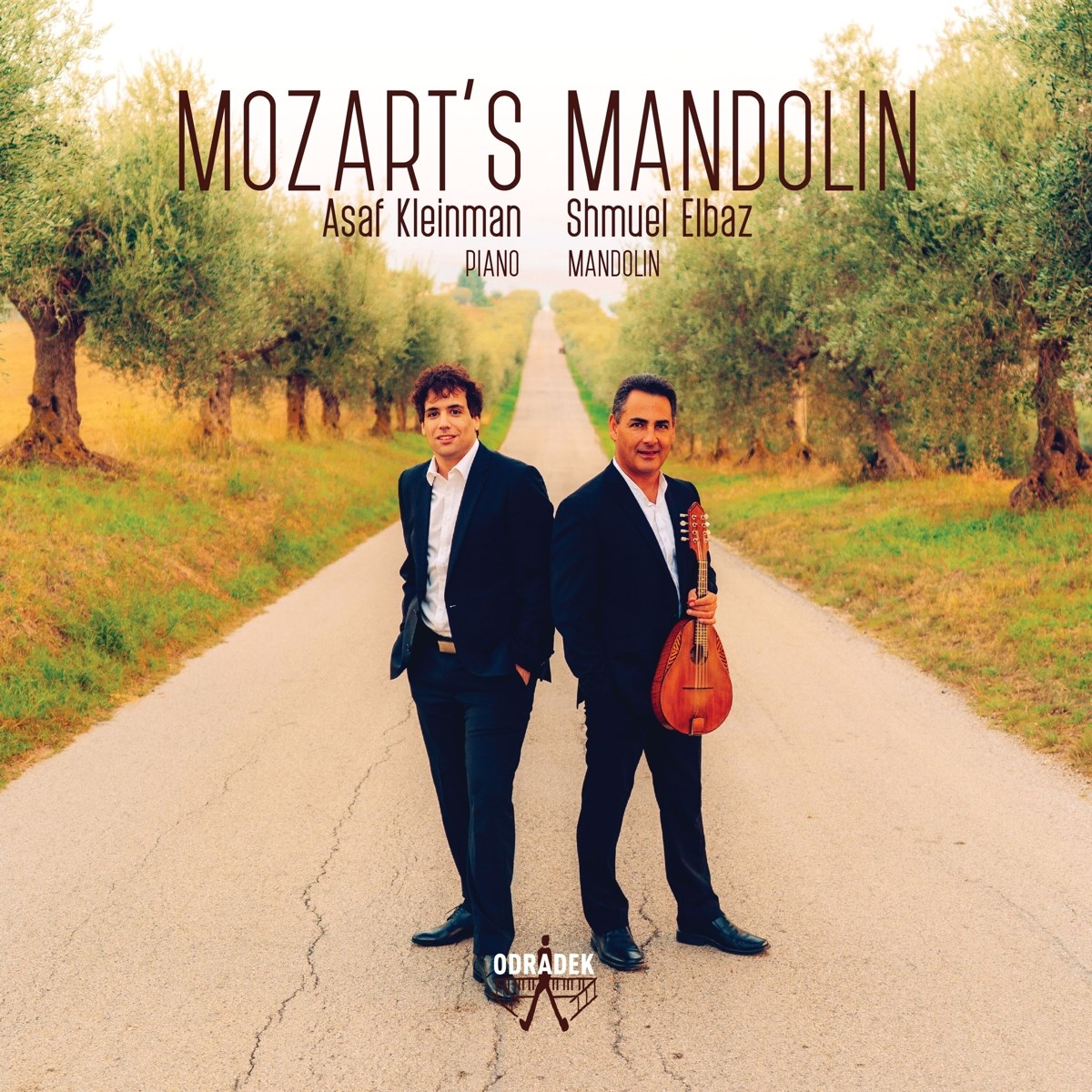 Afbeelding van Mozart's Mandolin
