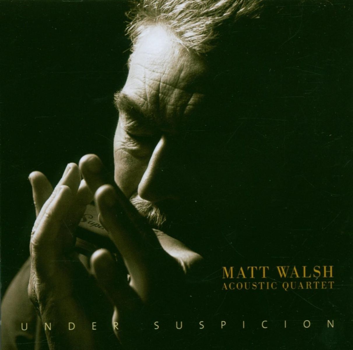 Afbeelding van Matt Walsh Acoustic Quartet - Under Suspicion
