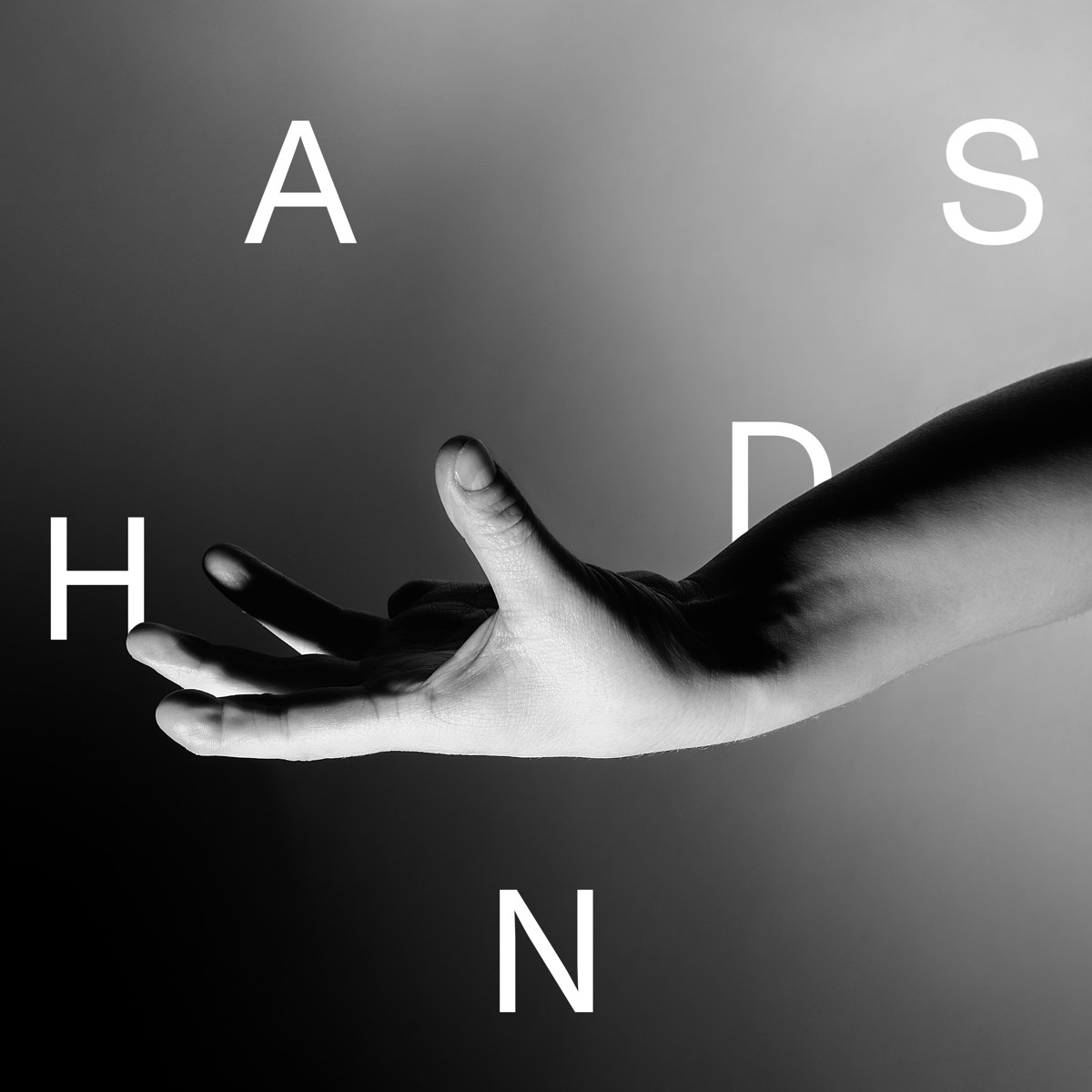 Afbeelding van Wallis Bird - Hands