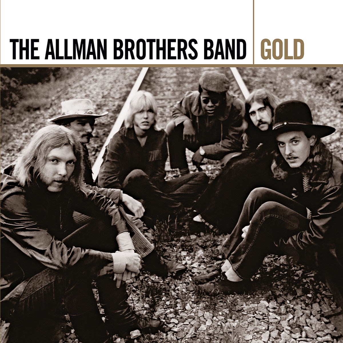 Afbeelding van The Allman Brothers Band - Gold