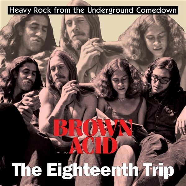 Afbeelding van Various Artists - Brown Acid: The Eighteenth Trip
