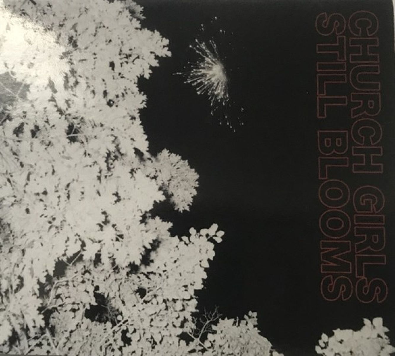 Afbeelding van Church Girls - Still Blooms