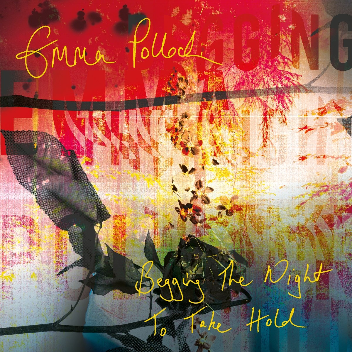 Afbeelding van Emma Pollock - Begging The Night To Take Hold