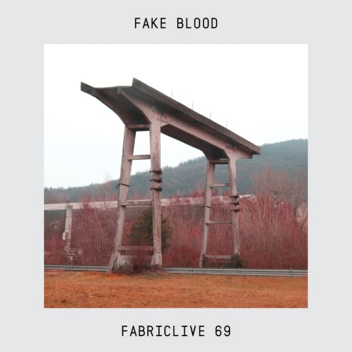 Afbeelding van Fake Blood - Fabriclive 69