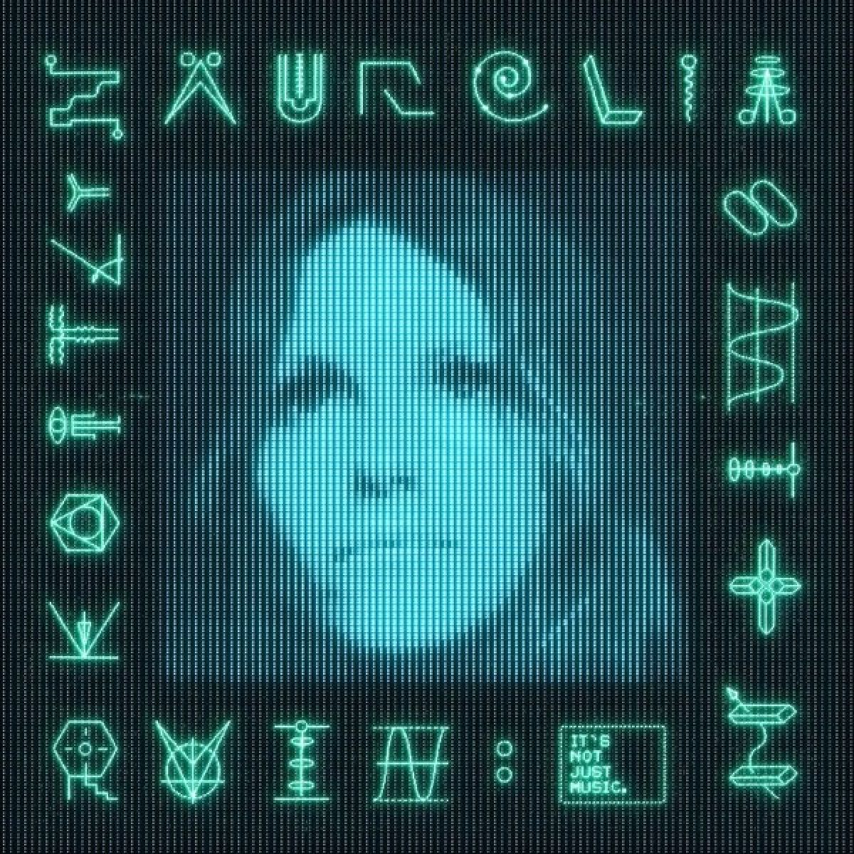 Afbeelding van Kaitlyn Aurelia Smith - Ruin : It'S Not Just Music