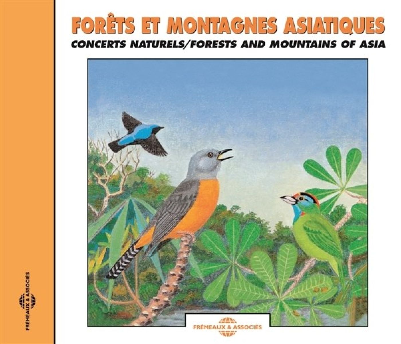 Afbeelding van Sound Effects Birds - Forest And Mountains Of Asia - Natural Soundscapes
