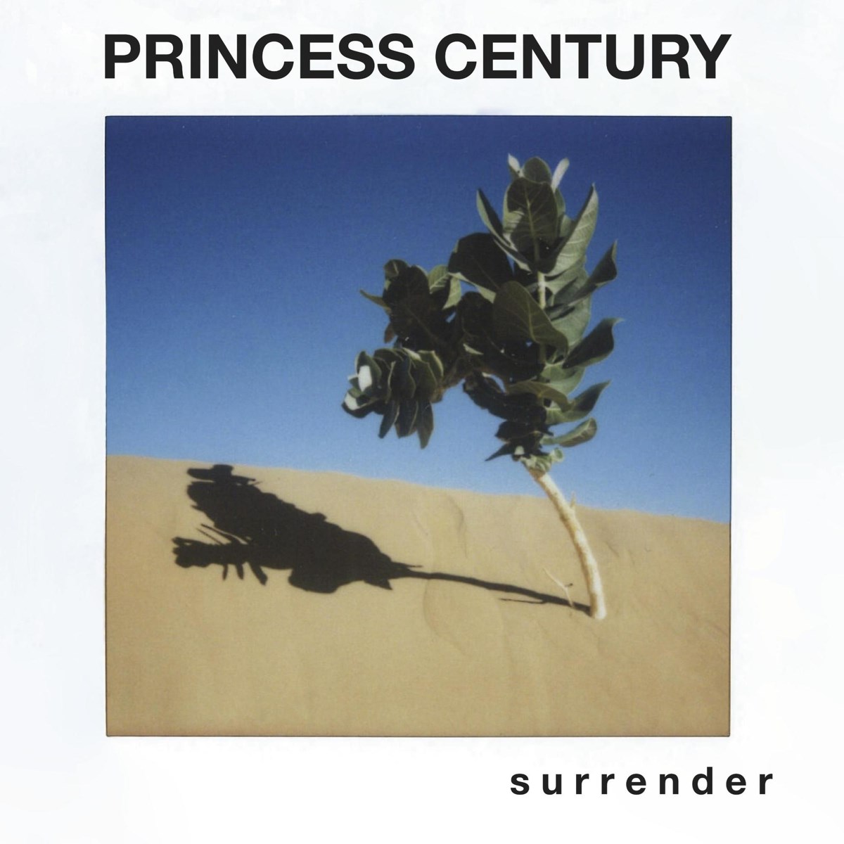 Afbeelding van Princess Century - Surrender