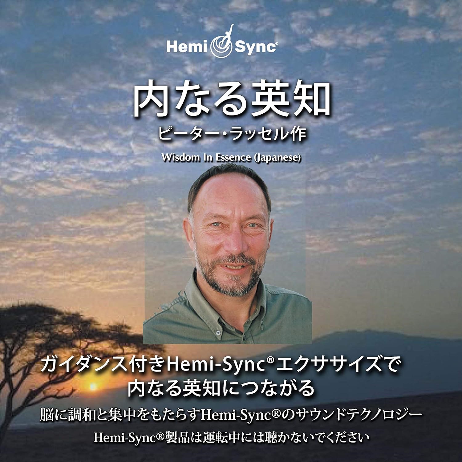 Afbeelding van Peter Russell - Wisdom In Essence (Japanese)