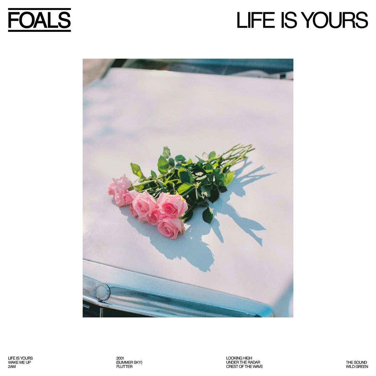 Afbeelding van Foals - Life Is Yours