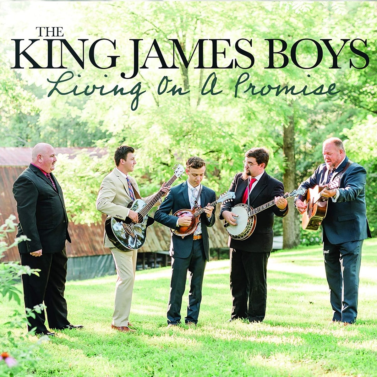 Afbeelding van The King James Boys - Living On A Promise