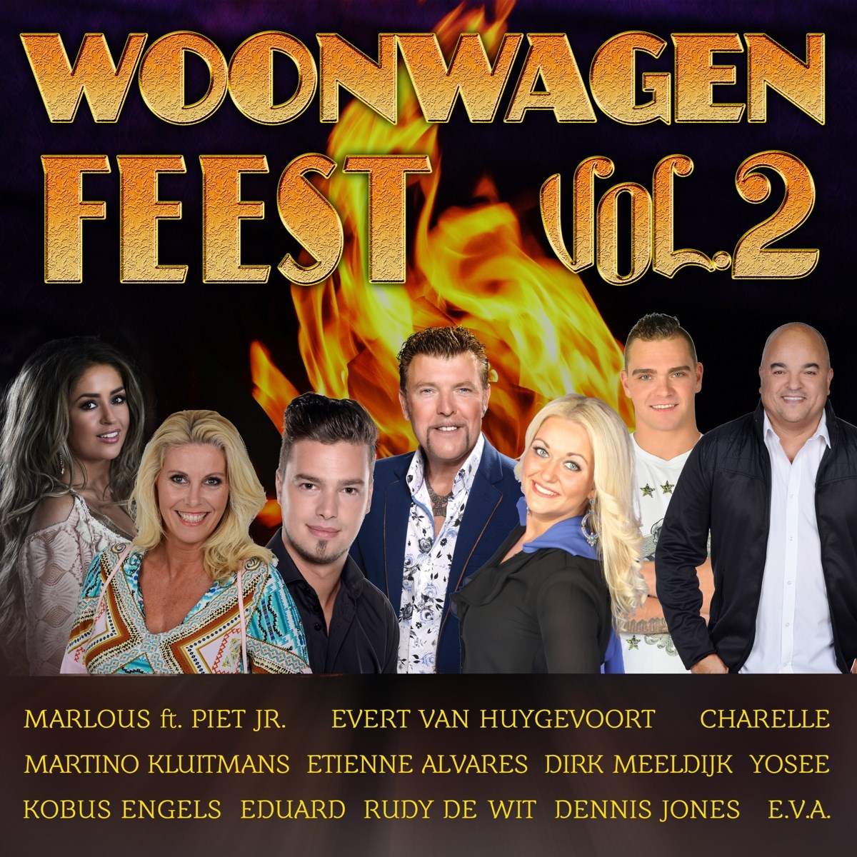 Afbeelding van Various Artists - Woonwagen Feest Vol 2