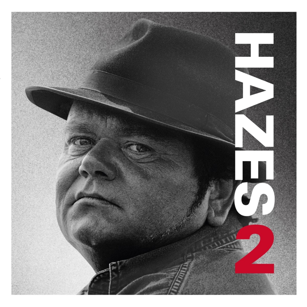 Afbeelding van André Hazes - Hazes 2