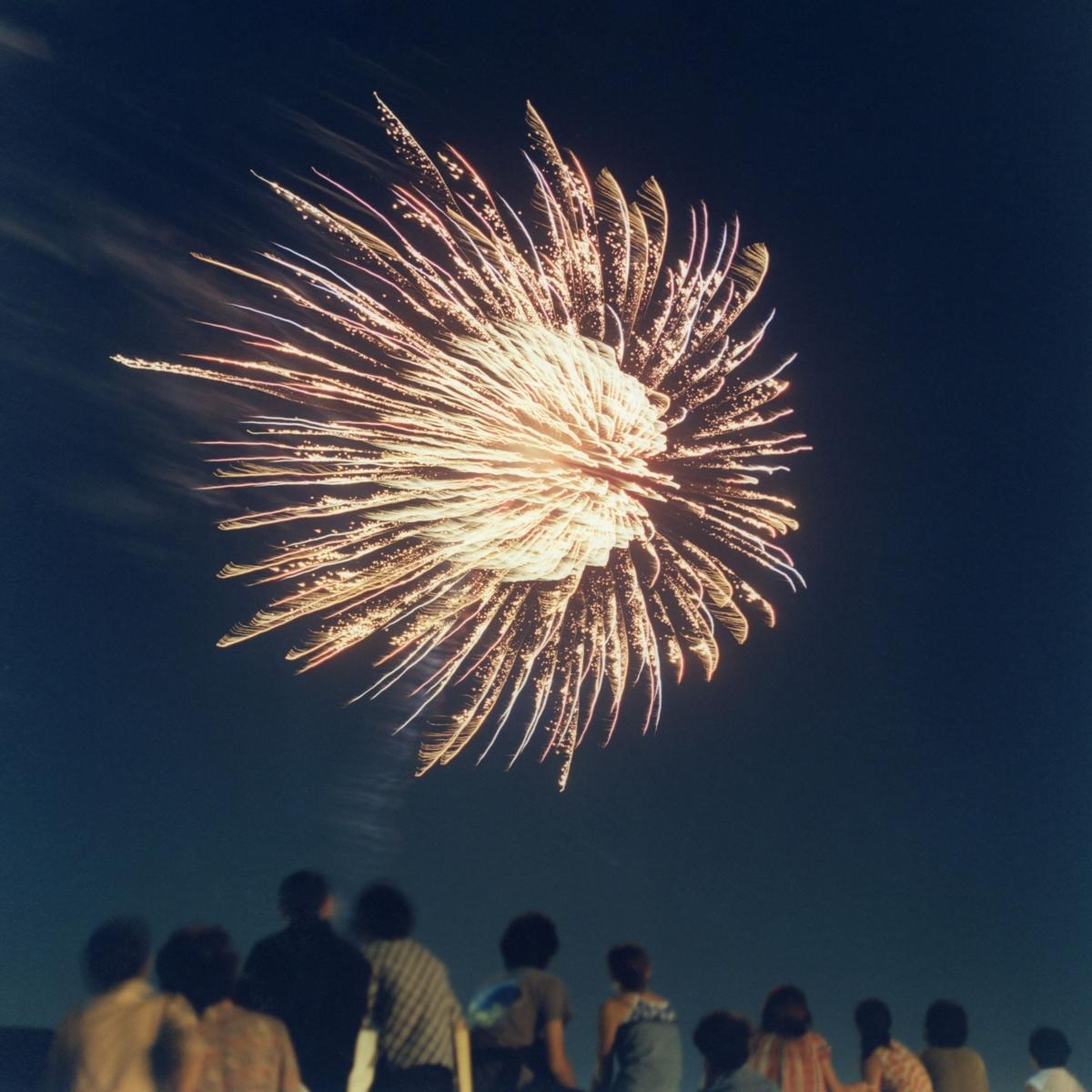 Afbeelding van Hochzeitskapelle & Japanese Friends - The Orchestra In The Sky