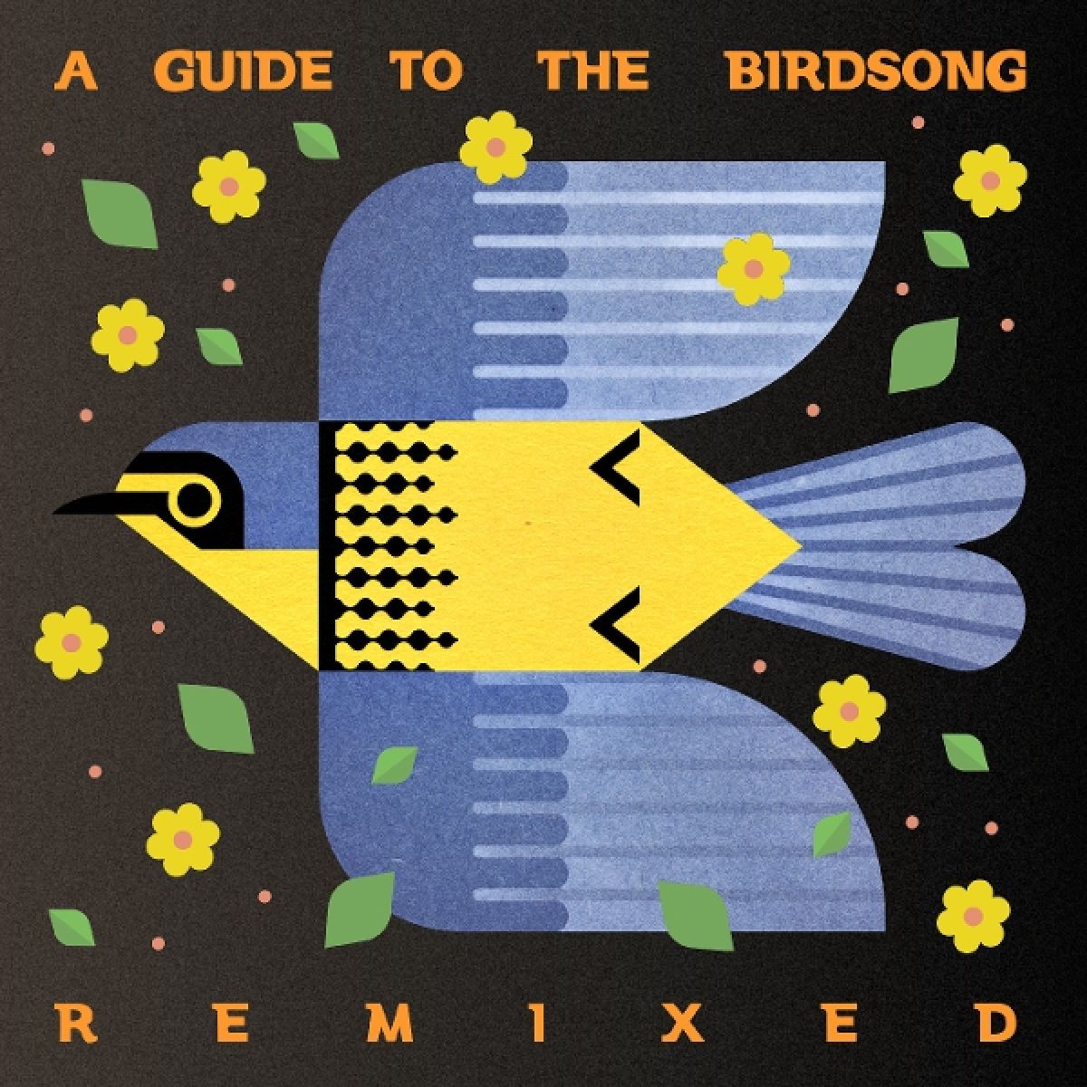 Afbeelding van Various Artists - A Guide To The Birdsong Remixed