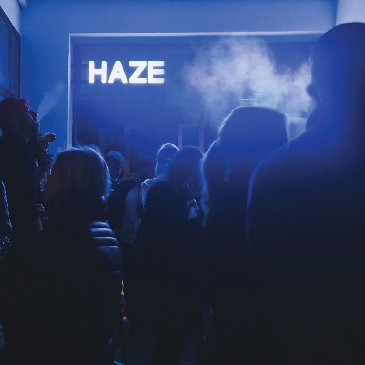 Afbeelding van Fluxion - Haze