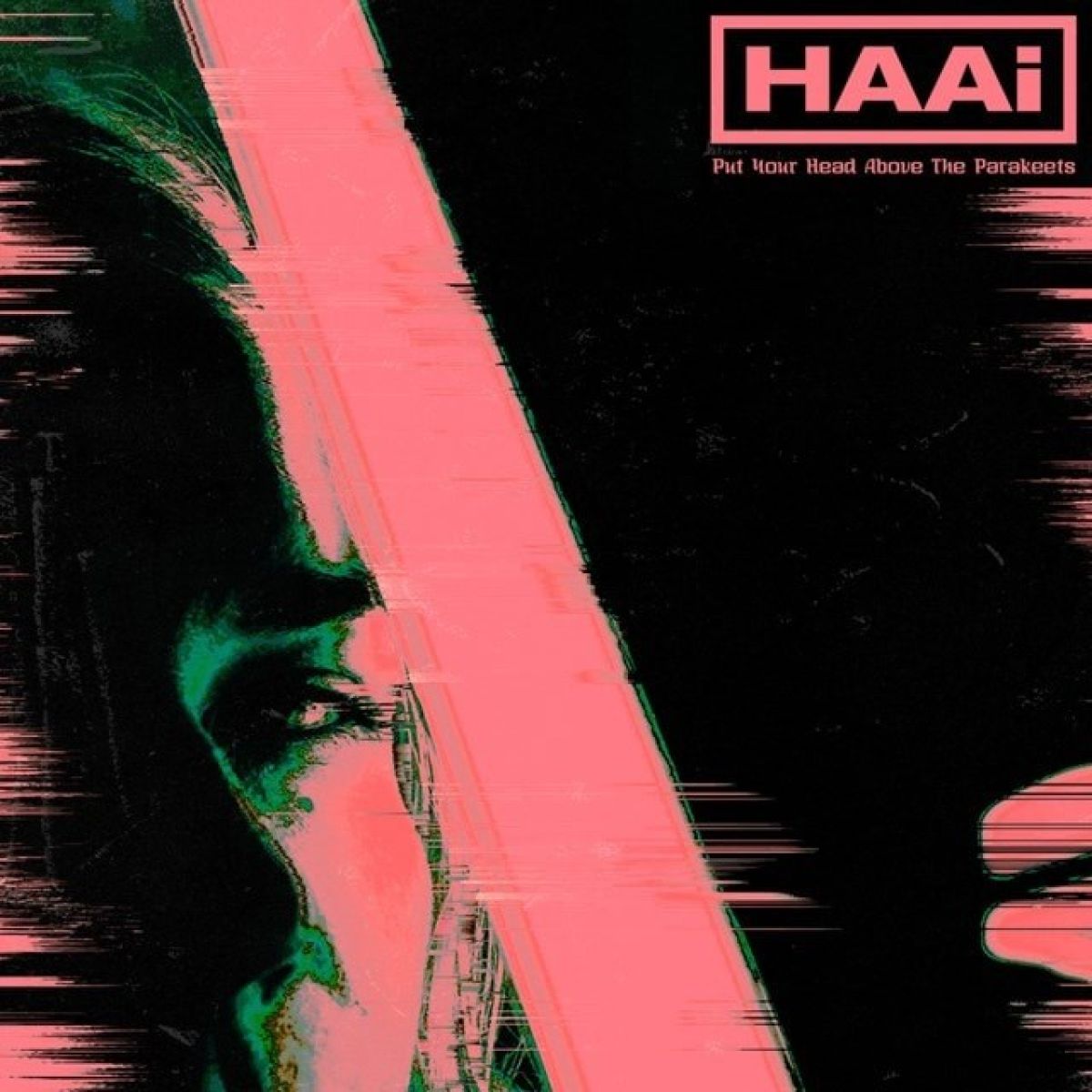 Afbeelding van HAAi - Put Your Head Above The Parakeets