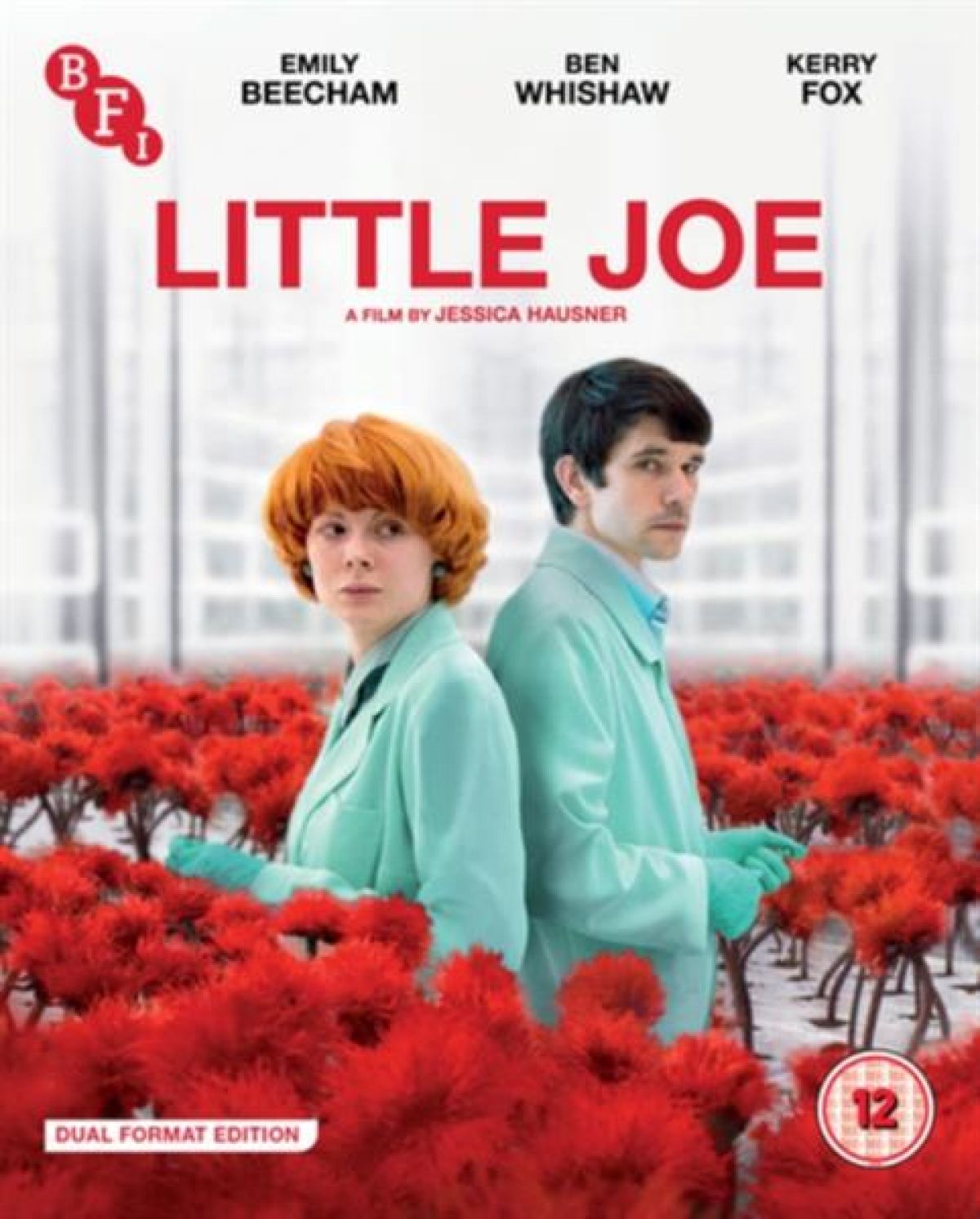 Afbeelding van Little Joe