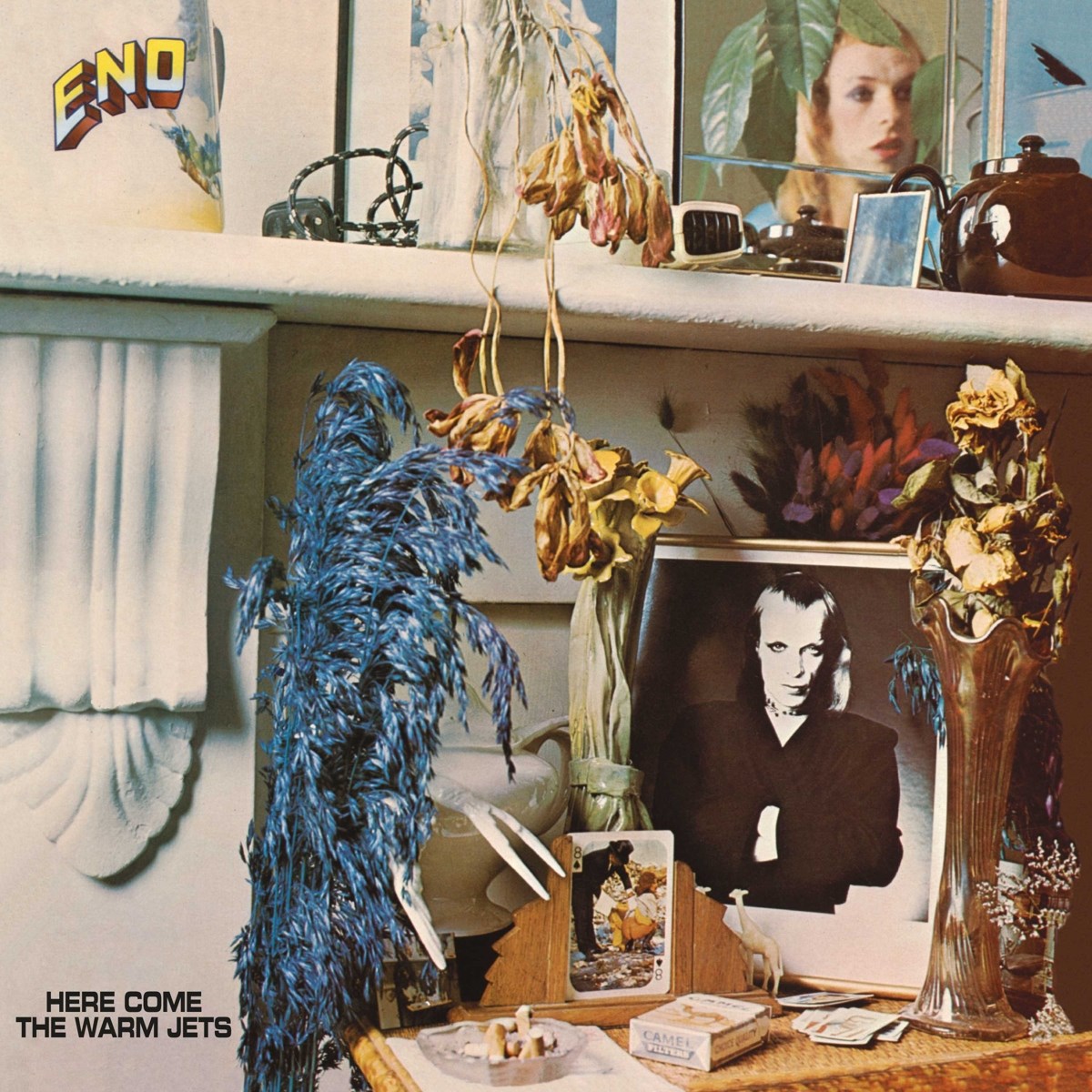 Afbeelding van Brian Eno - Here Come The Warm Jets