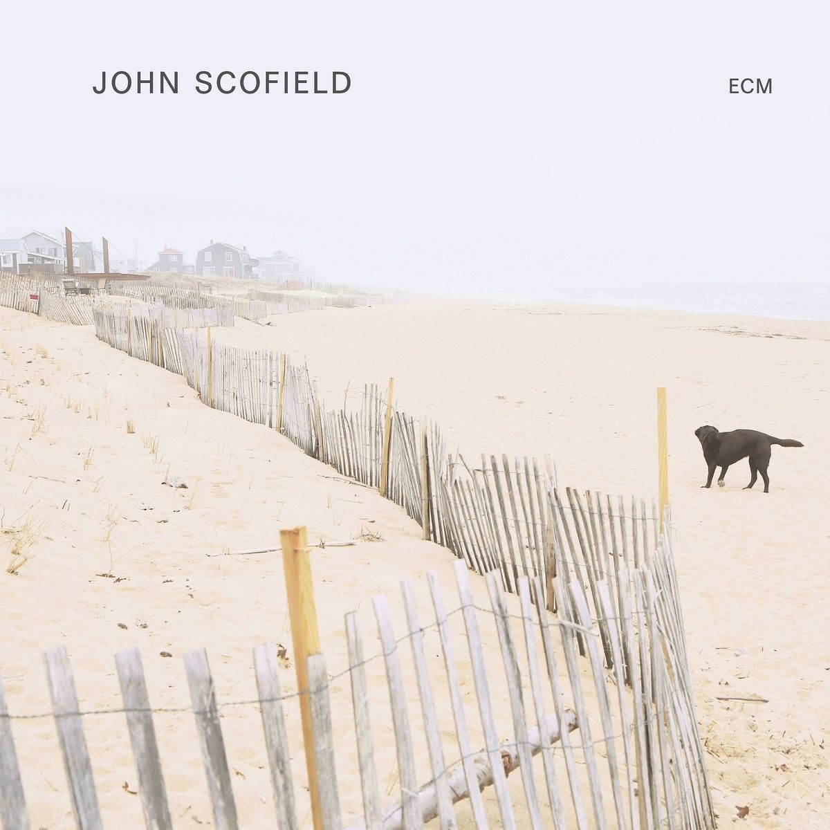 Afbeelding van John Scofield - John Scofield