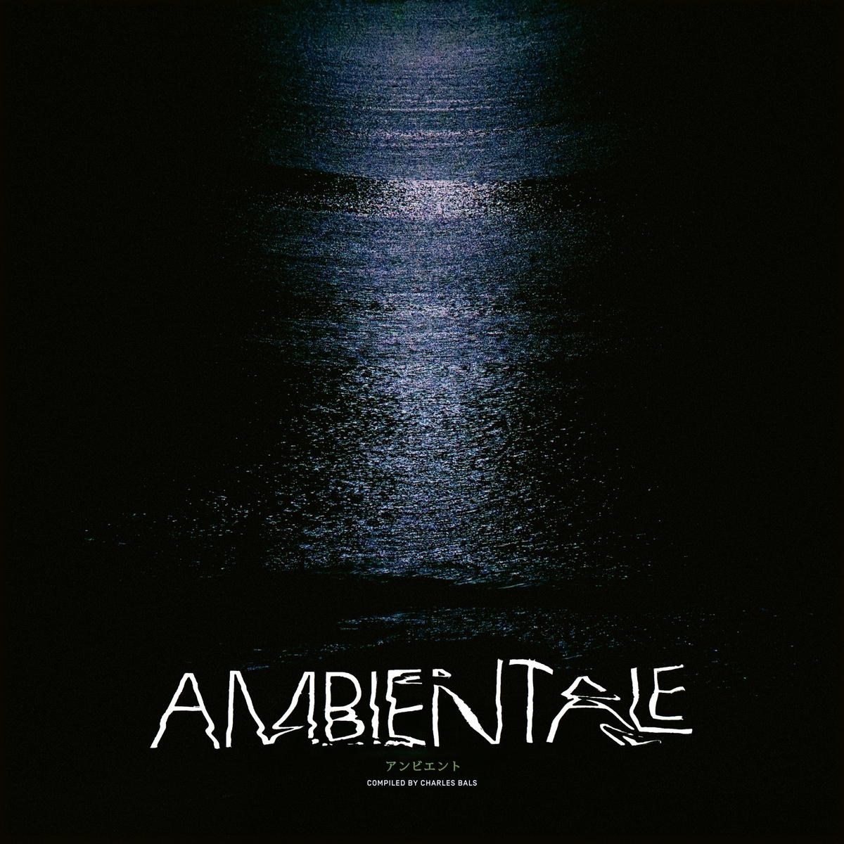 Afbeelding van Various Artists - Ambientale (Compiled By Charles Bals)