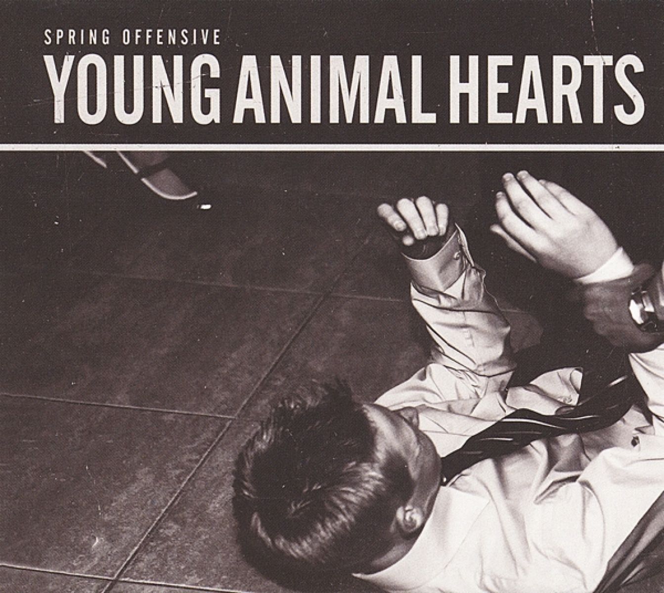 Afbeelding van Young Animal Hearts