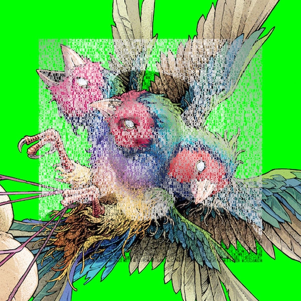 Afbeelding van Gouldian Finch - Hatch