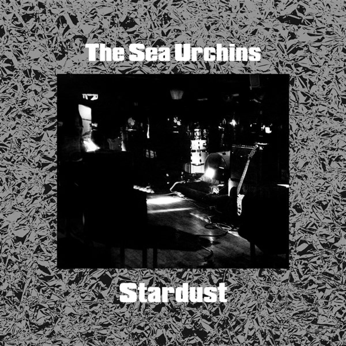 Afbeelding van Sea Urchins - Stardust