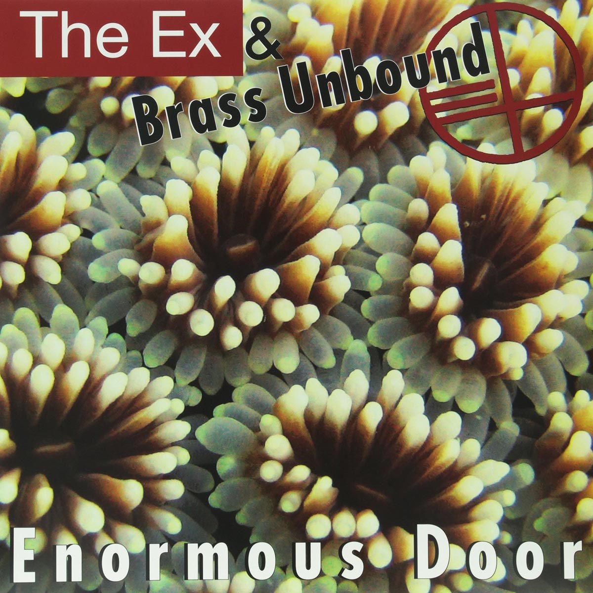 Afbeelding van The Ex & Brass Unbound - Enormous Door