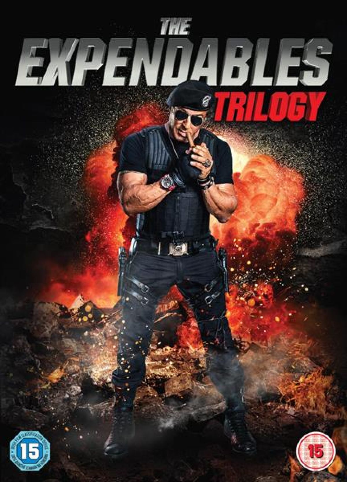 Afbeelding van Expendables Trilogy