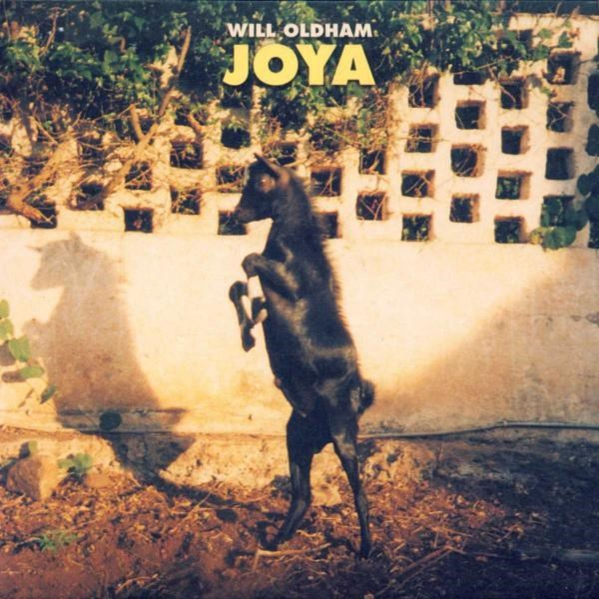 Afbeelding van Bonnie "Prince" Billy - Joya