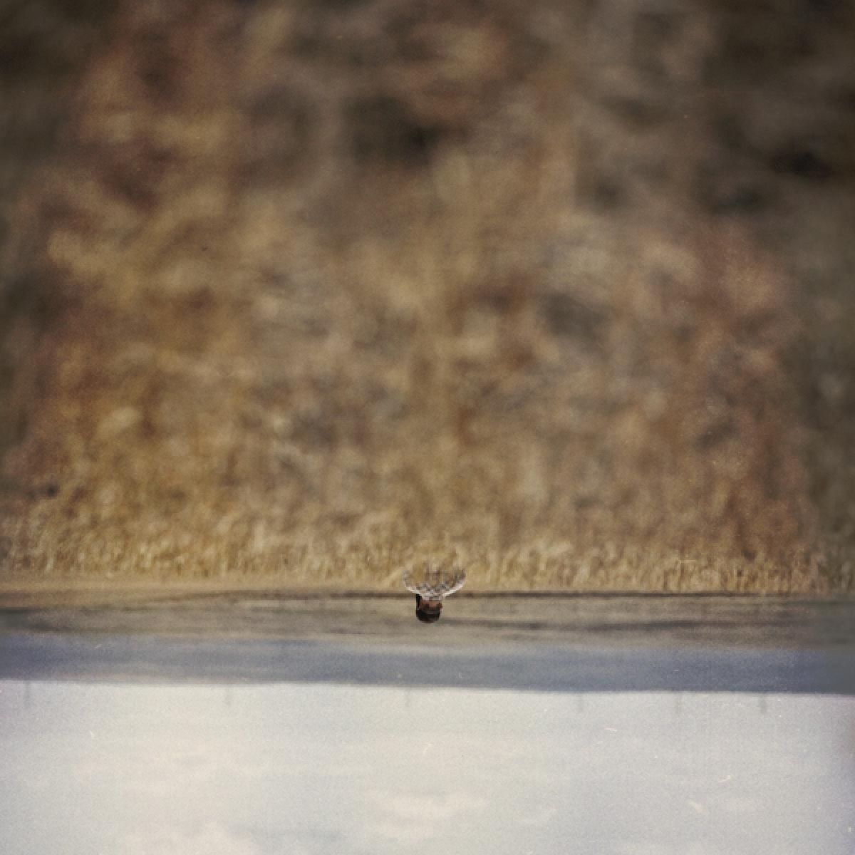 Afbeelding van Jim O'Rourke - Hands That Bind (Original Motion Picture Soundtrack)