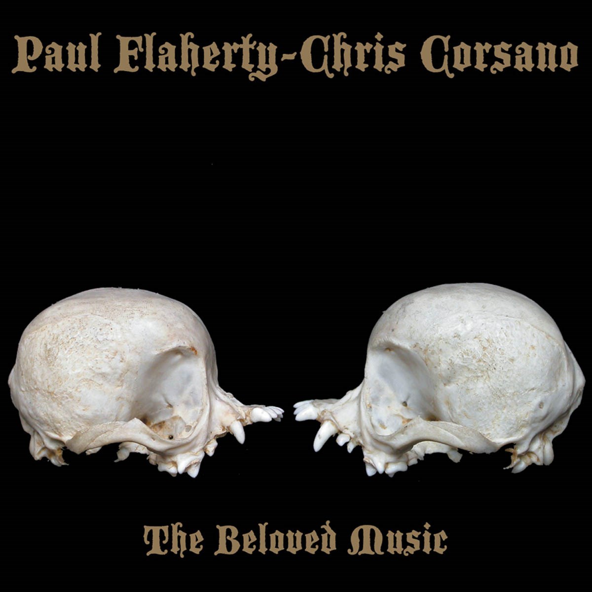 Paul Flaherty & Chris Corsano - The Beloved Music