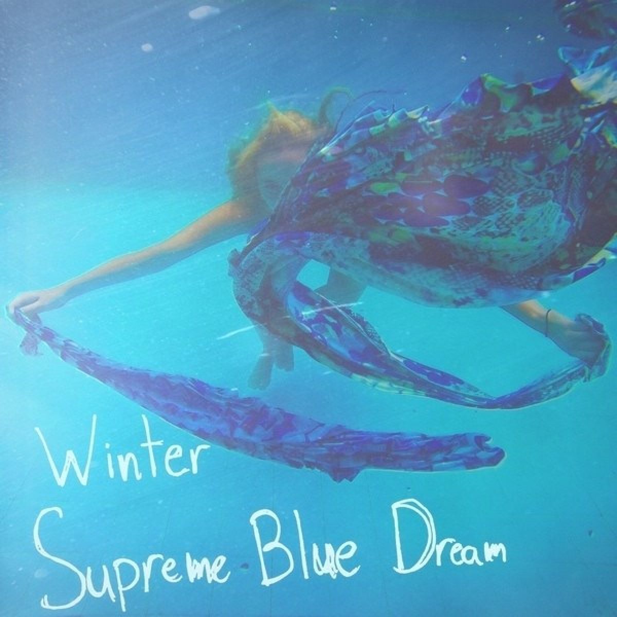 Afbeelding van Winter - Supreme Blue Dream