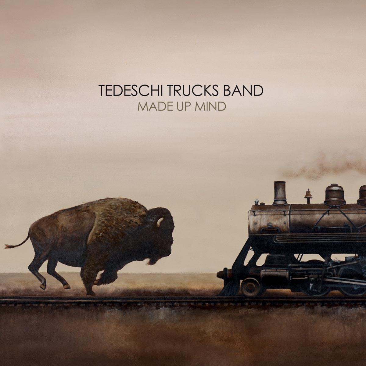 Afbeelding van Tedeschi Trucks Band - Made Up Mind