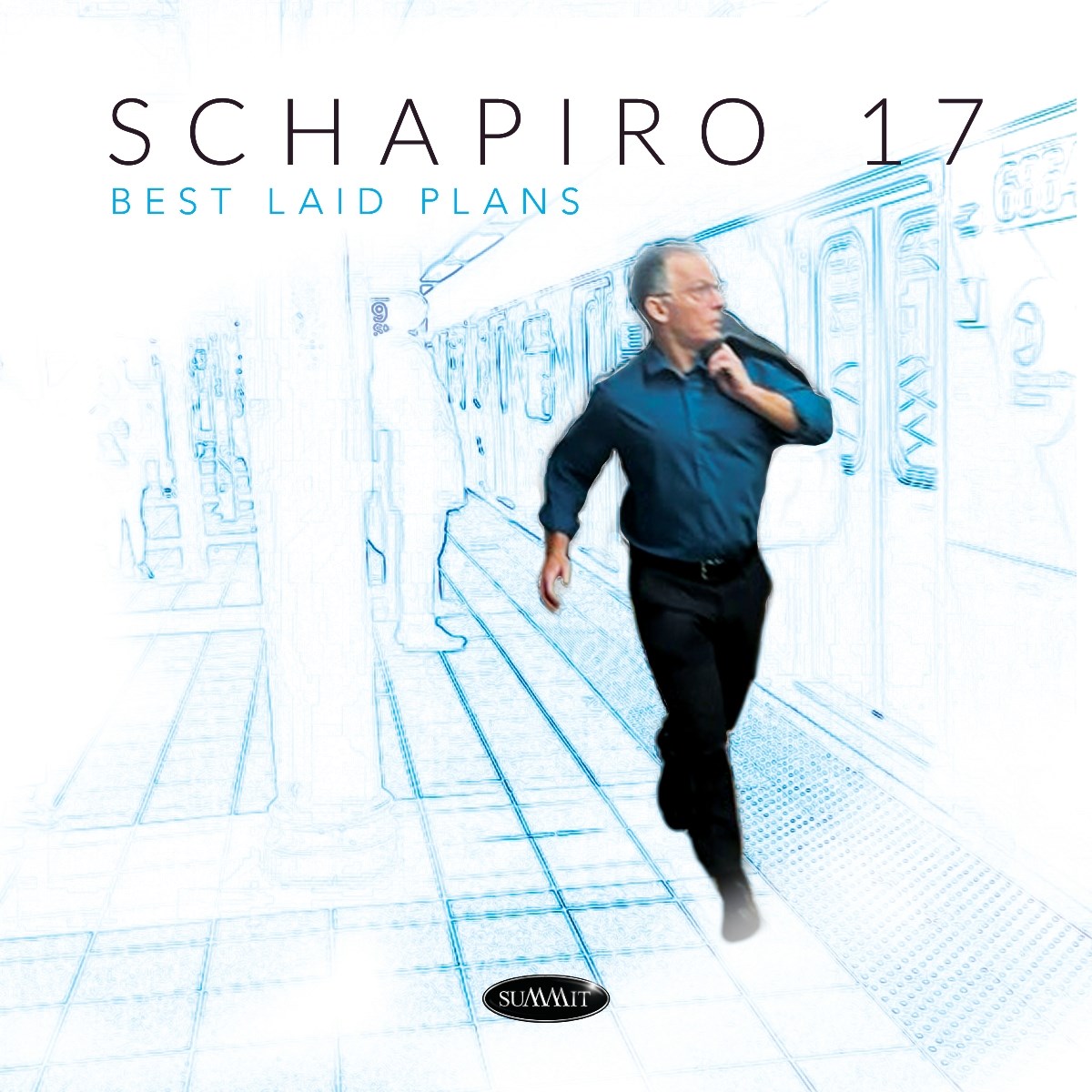 Afbeelding van Schapiro 17 - Best Laid Plans
