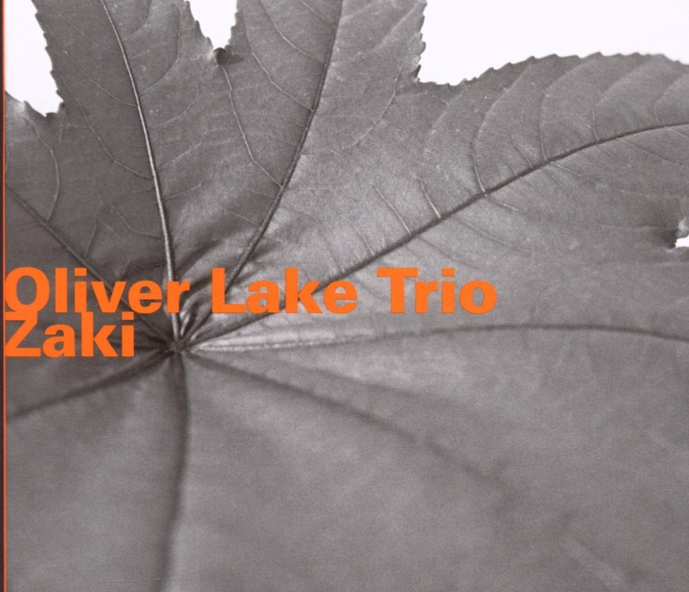 Afbeelding van Oliver Lake Trio - Zaki