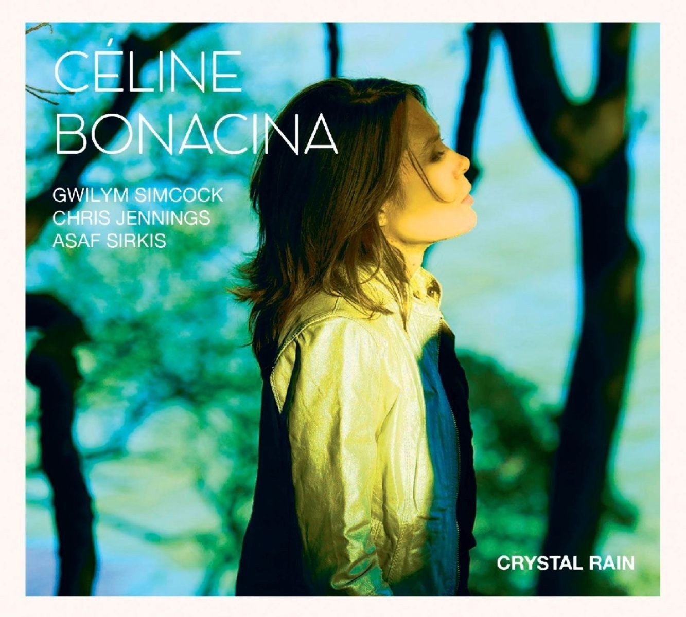 Afbeelding van Céline Bonacina Crystal Quartet - Crystal Rain