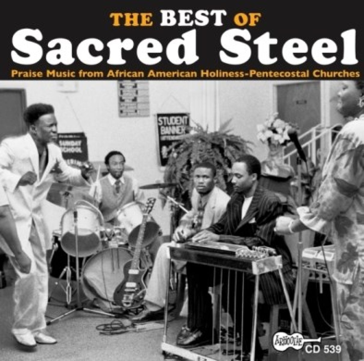 Afbeelding van Various Artists - Best Of Sacred Steel