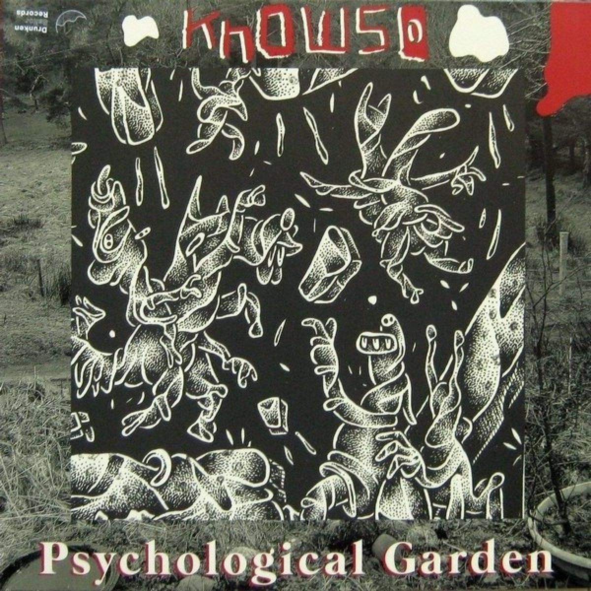 Afbeelding van Knowso - Psychological Garden & Rare Auld Trip