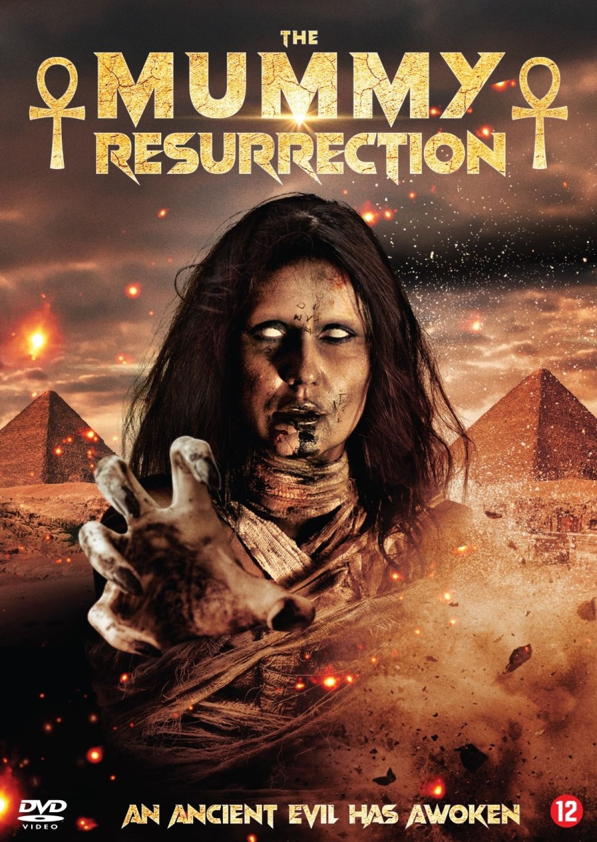 Afbeelding van The Mummy Resurrection