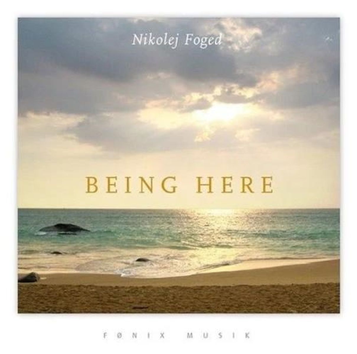 Afbeelding van Nikolej Foged - Being Here